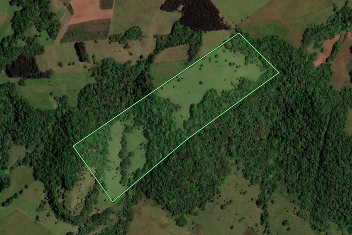 Imagem de satélite do imóvel rural em São Pedro do Sul (RS), com o contorno declarado no CAR desenhado por cima.