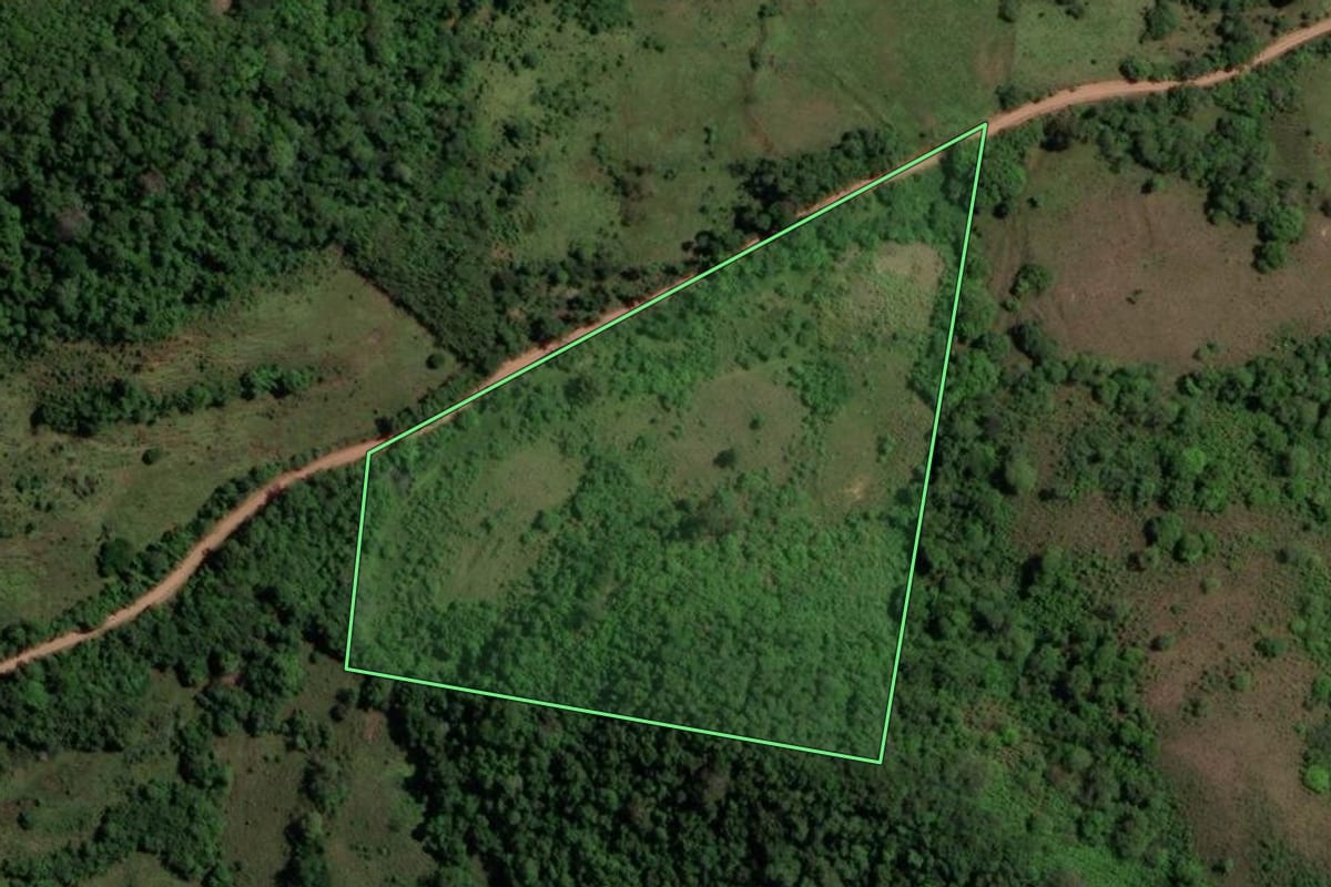 Imagem de satélite do imóvel rural em São Pedro do Sul (RS), com o contorno declarado no CAR desenhado por cima.