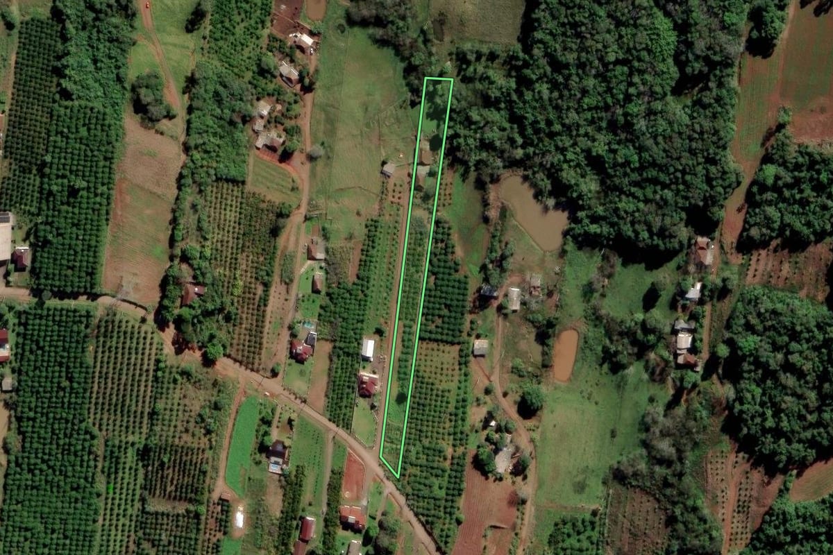 Imagem de satélite do imóvel rural em São Sebastião do Caí (RS), com o contorno declarado no CAR desenhado por cima.