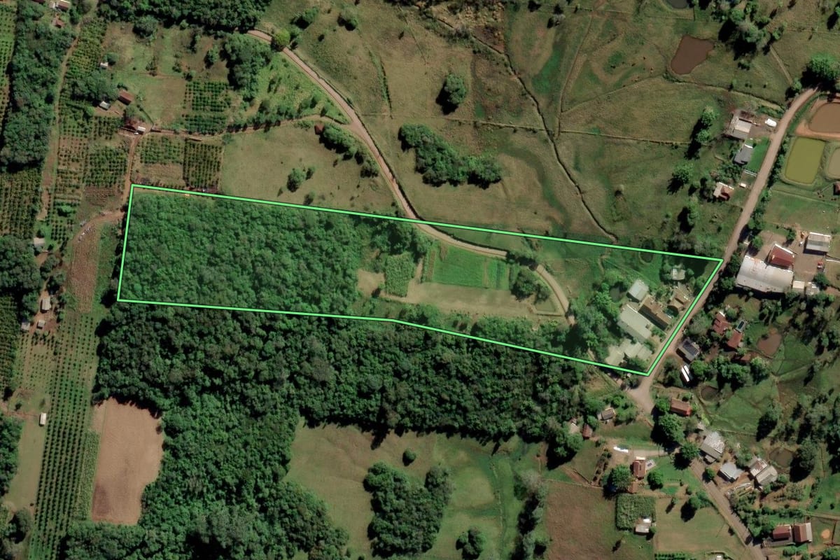 Imagem de satélite do imóvel rural em São Sebastião do Caí (RS), com o contorno declarado no CAR desenhado por cima.