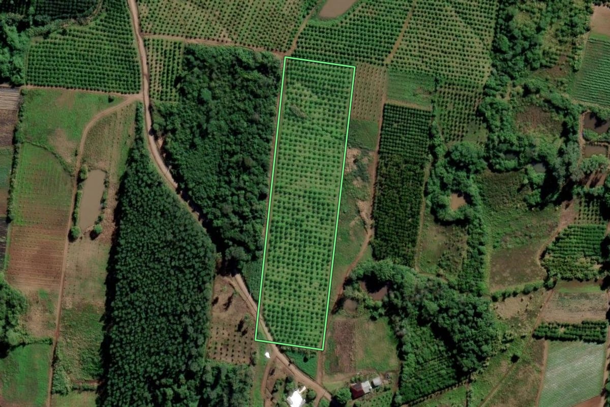 Imagem de satélite do imóvel rural em São Sebastião do Caí (RS), com o contorno declarado no CAR desenhado por cima.