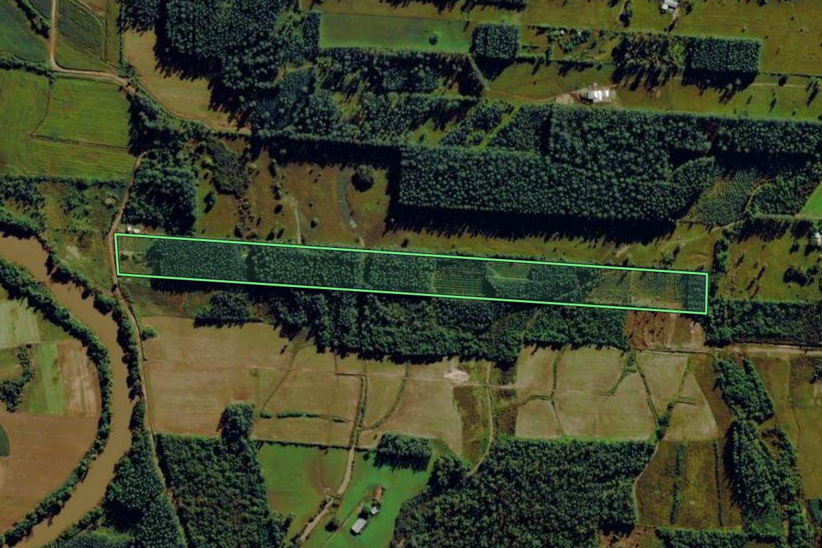 Imagem de satélite do imóvel rural em São Sebastião do Caí (RS), com o contorno declarado no CAR desenhado por cima.