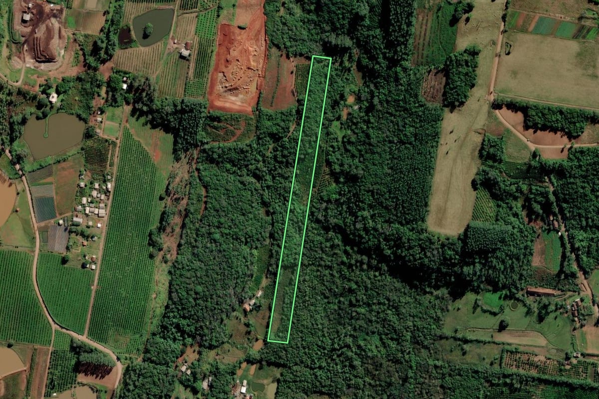 Imagem de satélite do imóvel rural em São Sebastião do Caí (RS), com o contorno declarado no CAR desenhado por cima.