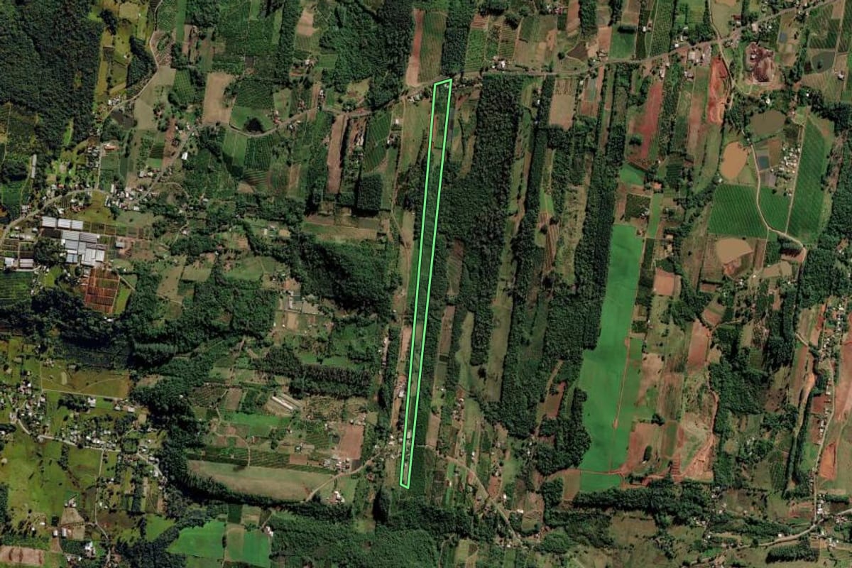 Imagem de satélite do imóvel rural em São Sebastião do Caí (RS), com o contorno declarado no CAR desenhado por cima.