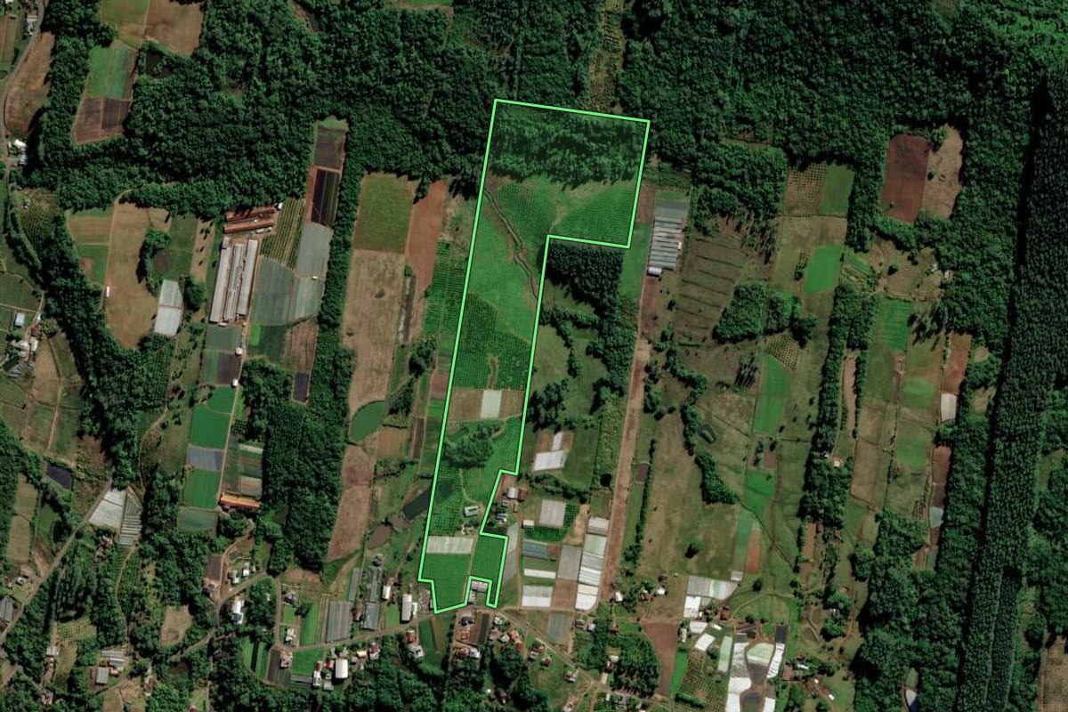 Imagem de satélite do imóvel rural em São Sebastião do Caí (RS), com o contorno declarado no CAR desenhado por cima.