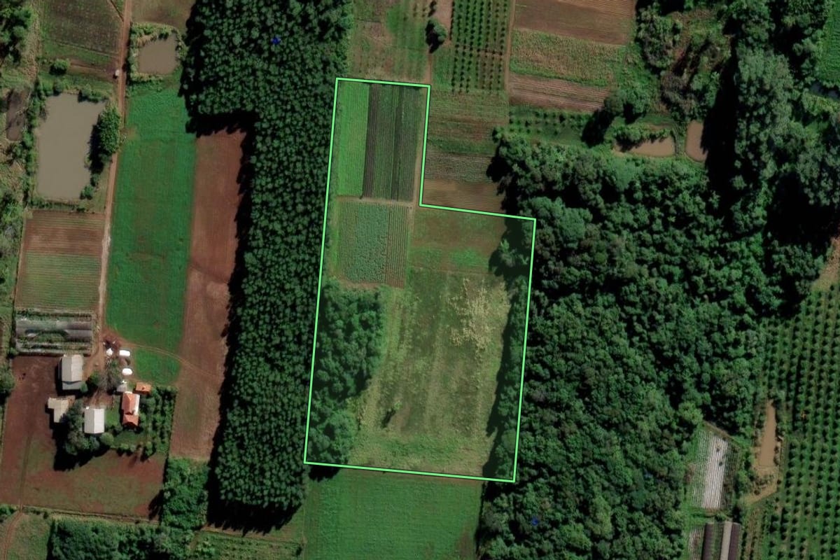 Imagem de satélite do imóvel rural em São Sebastião do Caí (RS), com o contorno declarado no CAR desenhado por cima.