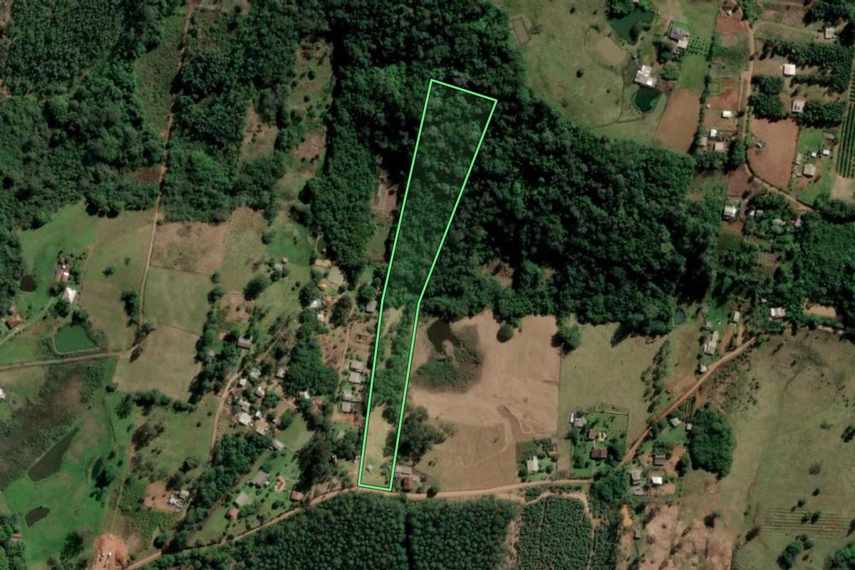 Imagem de satélite do imóvel rural em São Sebastião do Caí (RS), com o contorno declarado no CAR desenhado por cima.