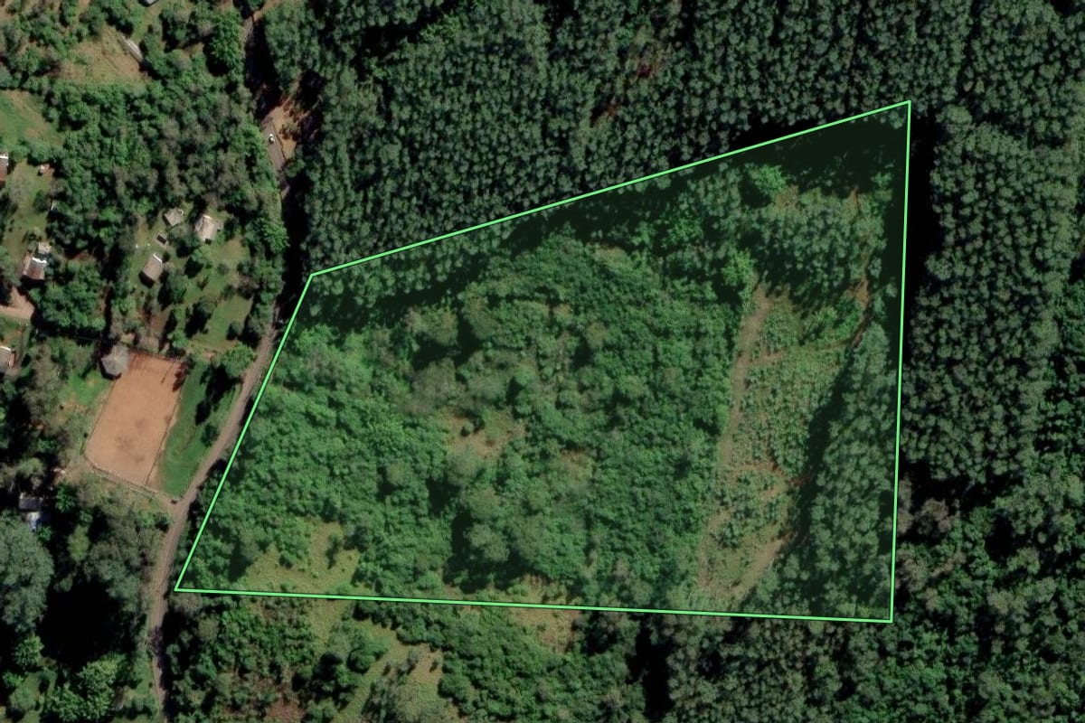 Imagem de satélite do imóvel rural em São Sebastião do Caí (RS), com o contorno declarado no CAR desenhado por cima.