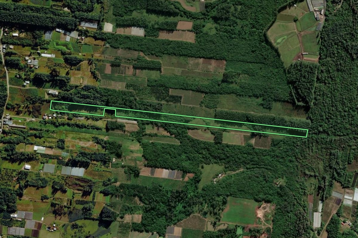 Imagem de satélite do imóvel rural em São Sebastião do Caí (RS), com o contorno declarado no CAR desenhado por cima.