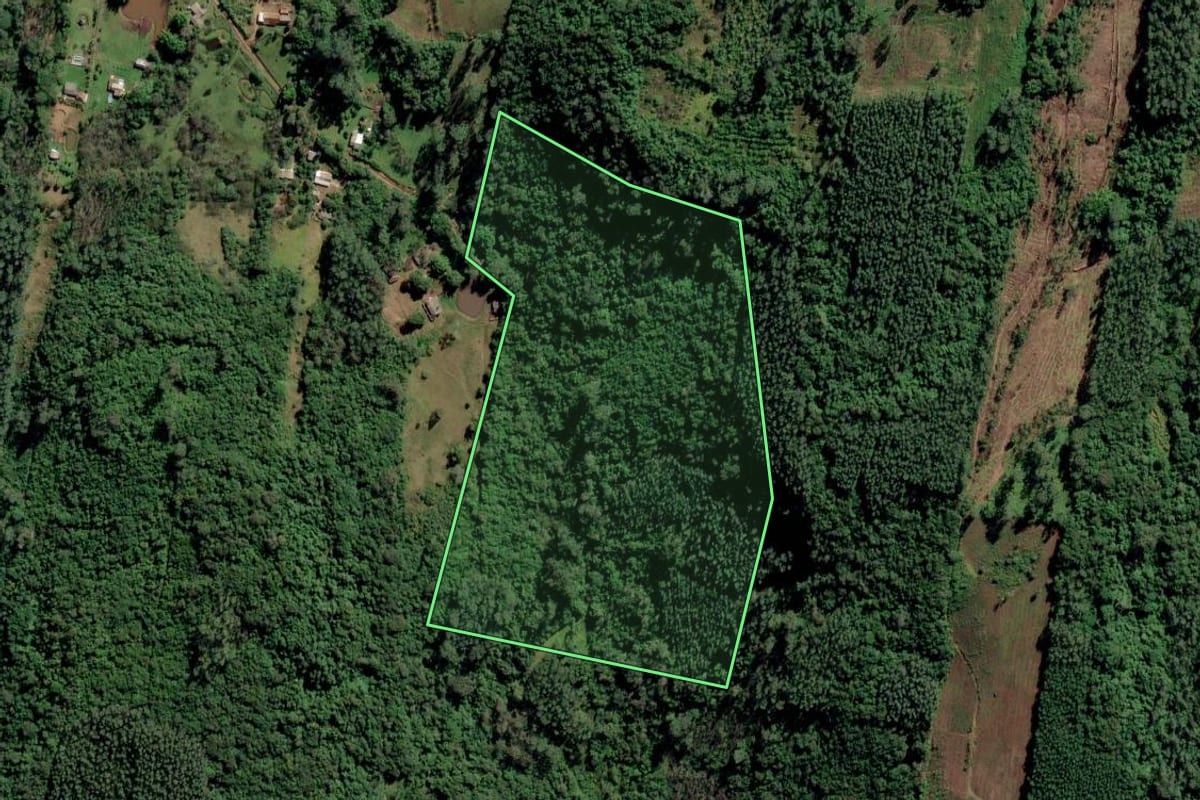 Imagem de satélite do imóvel rural em São Sebastião do Caí (RS), com o contorno declarado no CAR desenhado por cima.