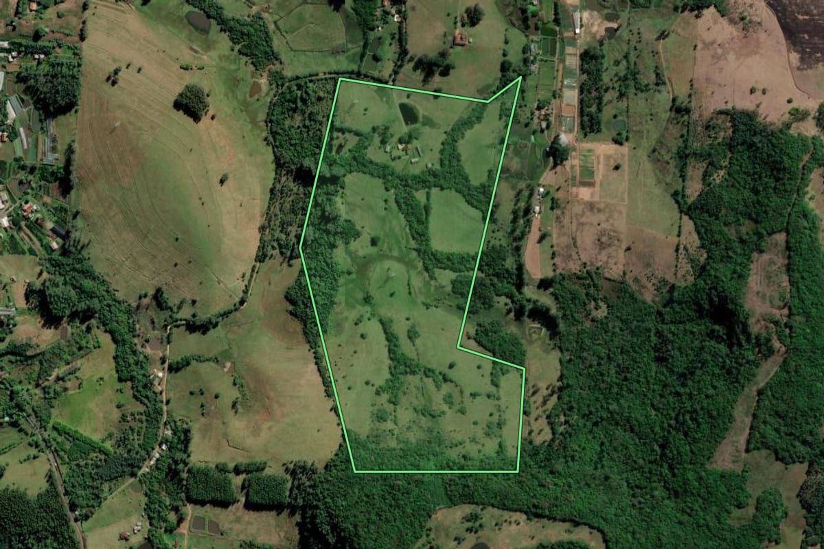 Imagem de satélite do imóvel rural em São Sebastião do Caí (RS), com o contorno declarado no CAR desenhado por cima.