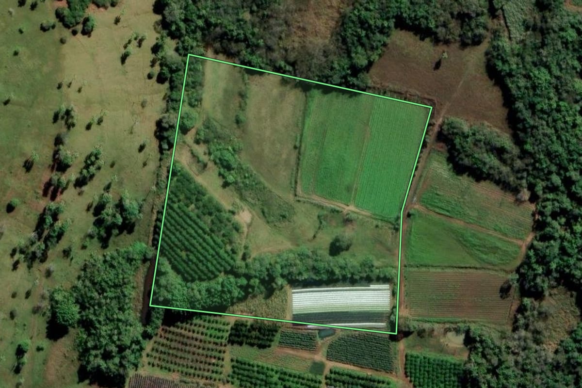 Imagem de satélite do imóvel rural em São Sebastião do Caí (RS), com o contorno declarado no CAR desenhado por cima.