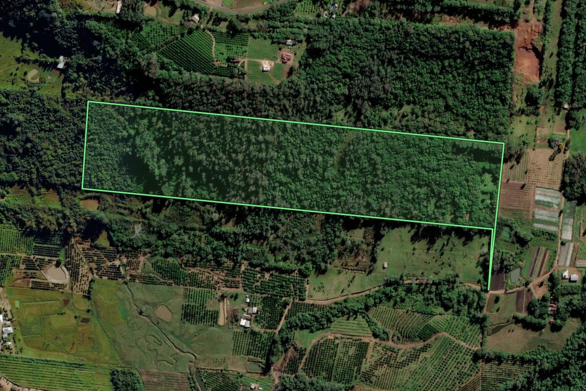 Imagem de satélite do imóvel rural em São Sebastião do Caí (RS), com o contorno declarado no CAR desenhado por cima.