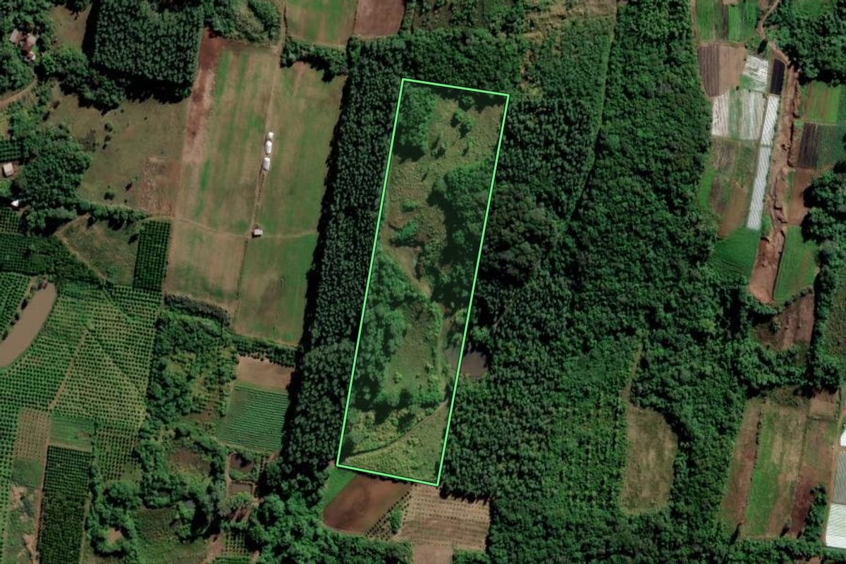 Imagem de satélite do imóvel rural em São Sebastião do Caí (RS), com o contorno declarado no CAR desenhado por cima.
