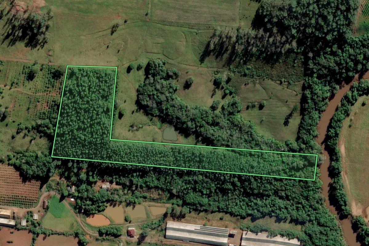 Imagem de satélite do imóvel rural em São Sebastião do Caí (RS), com o contorno declarado no CAR desenhado por cima.