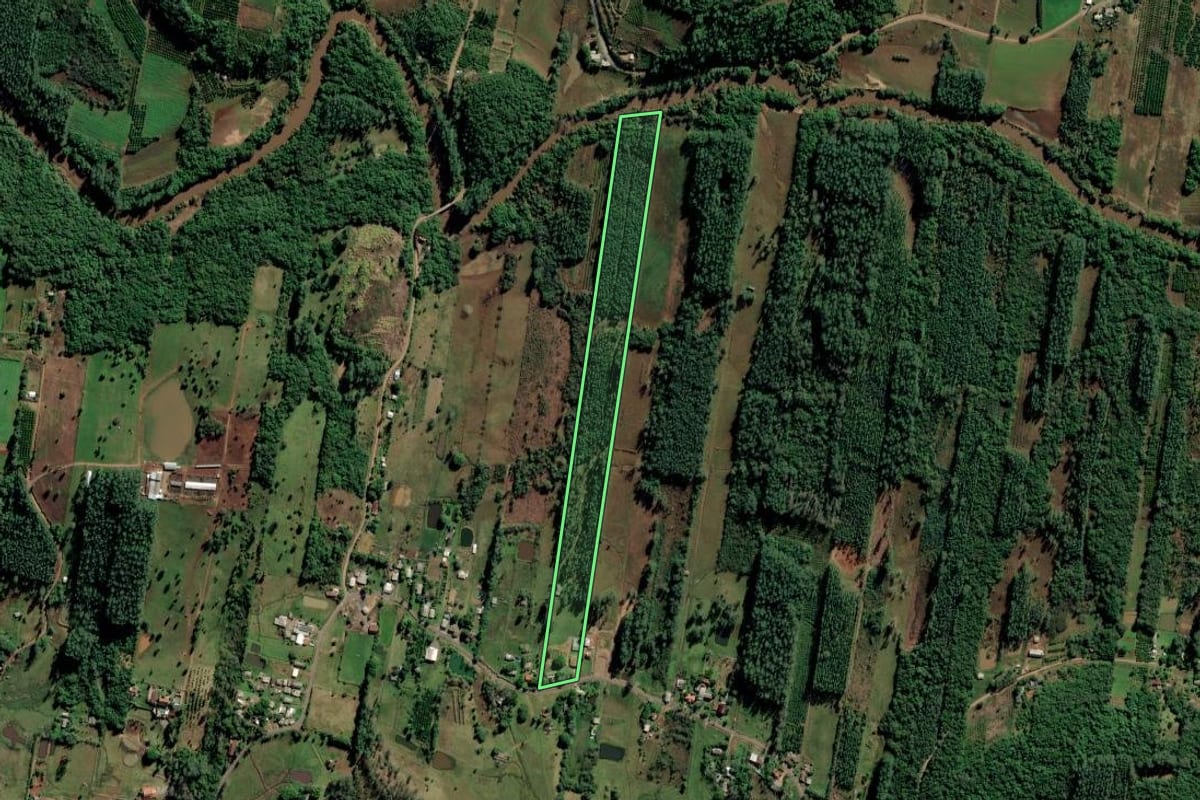 Imagem de satélite do imóvel rural em São Sebastião do Caí (RS), com o contorno declarado no CAR desenhado por cima.