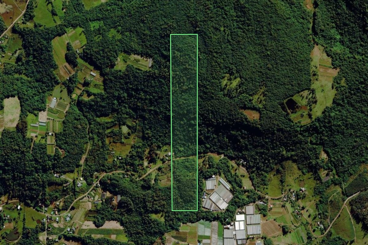 Imagem de satélite do imóvel rural em São Sebastião do Caí (RS), com o contorno declarado no CAR desenhado por cima.