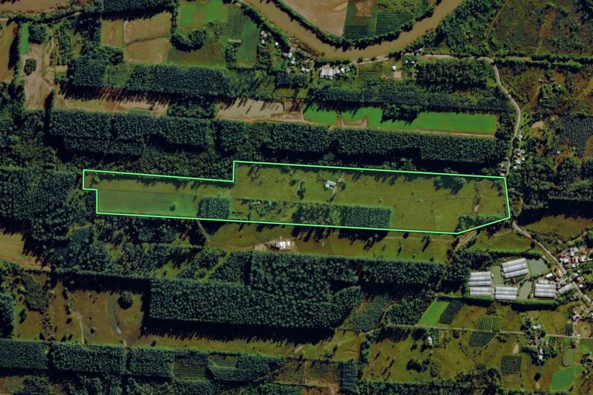 Imagem de satélite do imóvel rural em São Sebastião do Caí (RS), com o contorno declarado no CAR desenhado por cima.