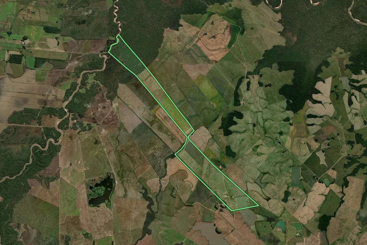 Imagem de satélite do imóvel rural em São Sepé (RS), com o contorno declarado no CAR desenhado por cima.