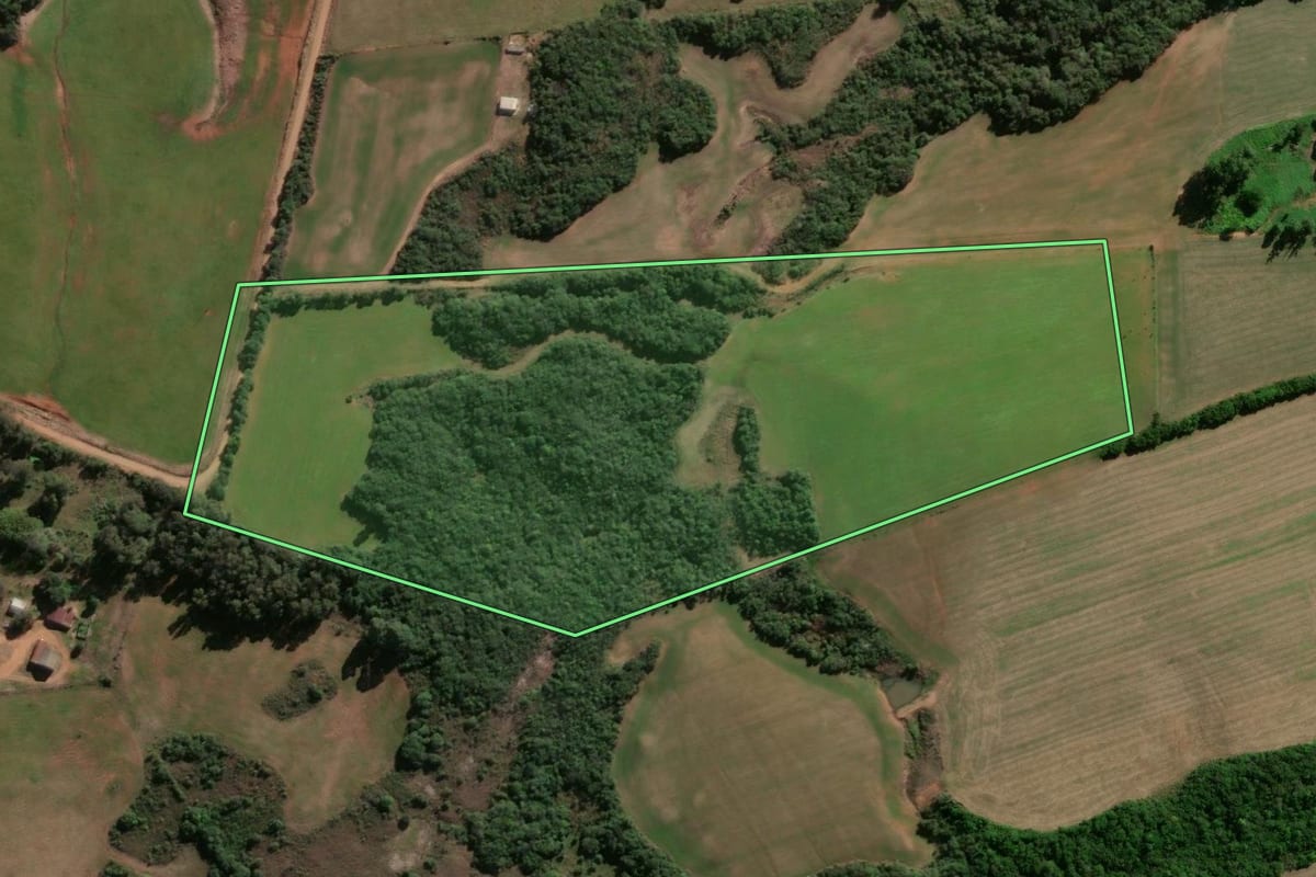 Imagem de satélite do imóvel rural em São Sepé (RS), com o contorno declarado no CAR desenhado por cima.