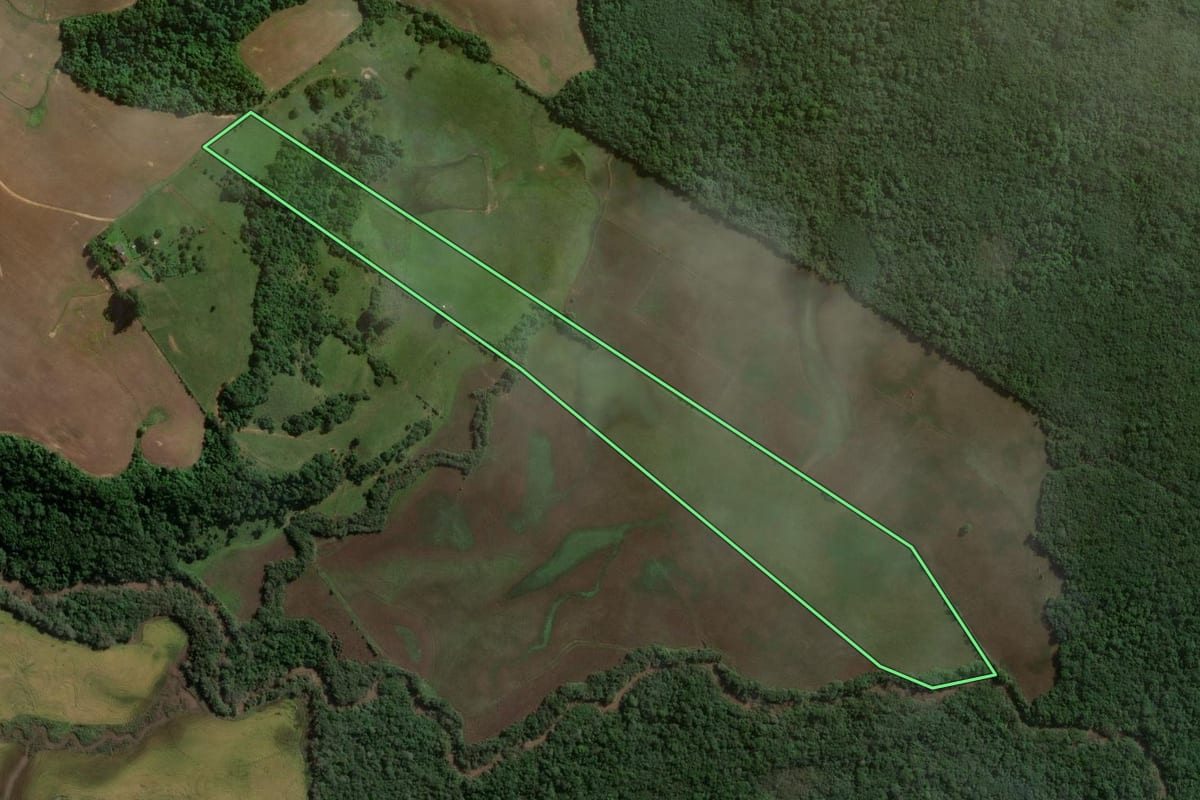 Imagem de satélite do imóvel rural em São Sepé (RS), com o contorno declarado no CAR desenhado por cima.