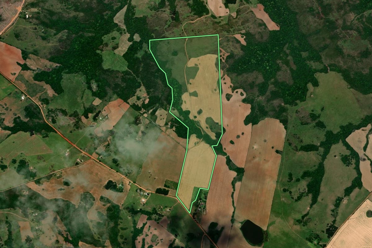 Imagem de satélite do imóvel rural em São Sepé (RS), com o contorno declarado no CAR desenhado por cima.