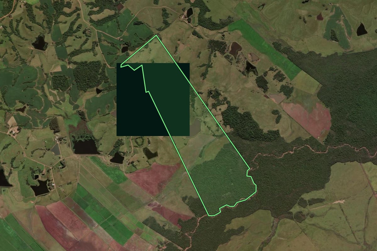 Imagem de satélite do imóvel rural em São Sepé (RS), com o contorno declarado no CAR desenhado por cima.
