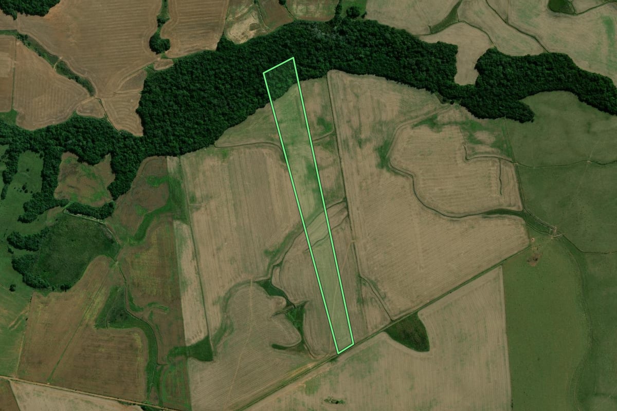 Imagem de satélite do imóvel rural em São Sepé (RS), com o contorno declarado no CAR desenhado por cima.