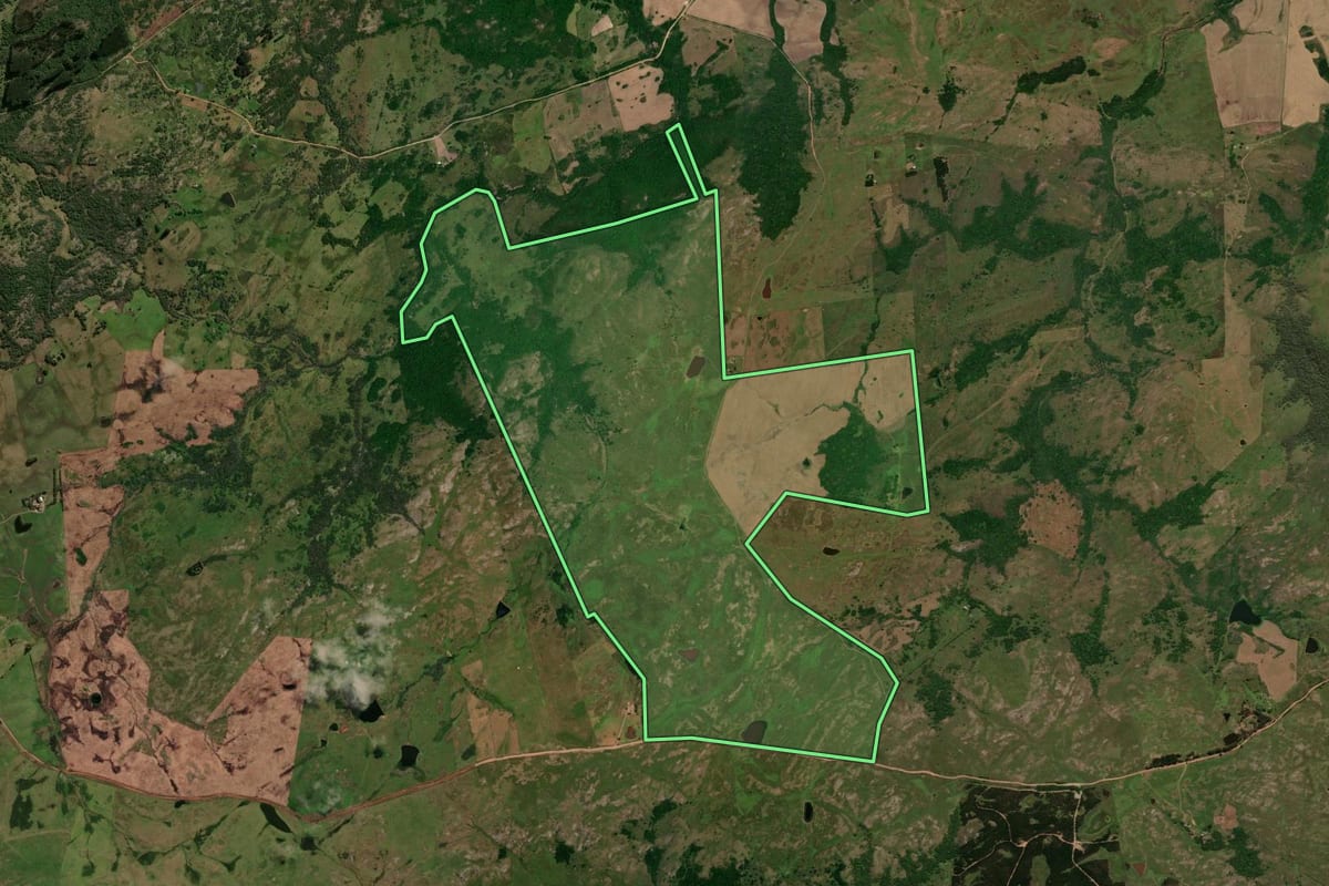 Imagem de satélite do imóvel rural em São Sepé (RS), com o contorno declarado no CAR desenhado por cima.