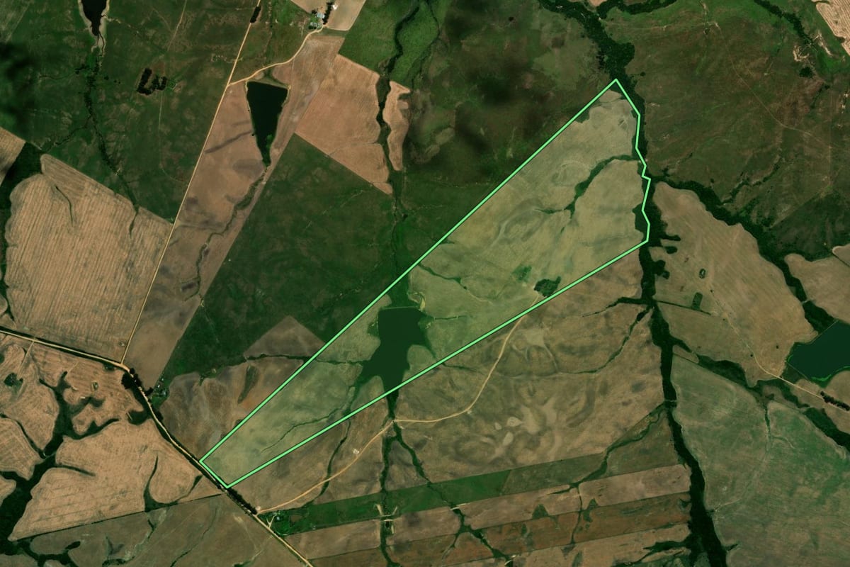 Imagem de satélite do imóvel rural em São Sepé (RS), com o contorno declarado no CAR desenhado por cima.
