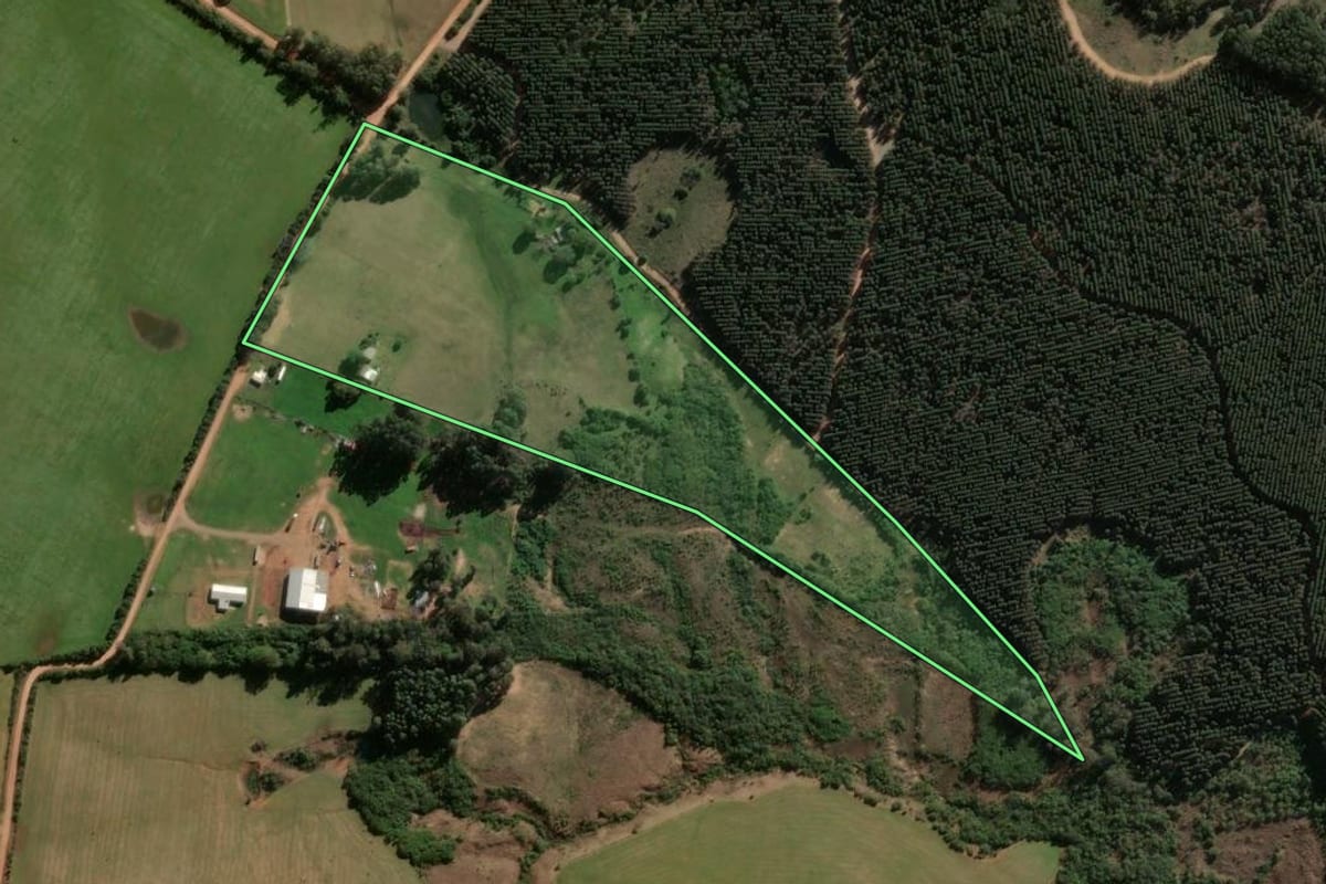 Imagem de satélite do imóvel rural em São Sepé (RS), com o contorno declarado no CAR desenhado por cima.