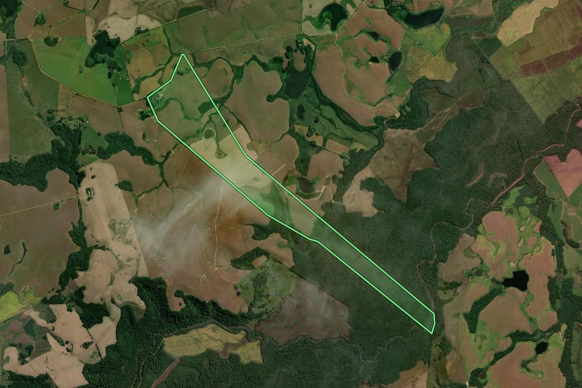 Imagem de satélite do imóvel rural em São Sepé (RS), com o contorno declarado no CAR desenhado por cima.