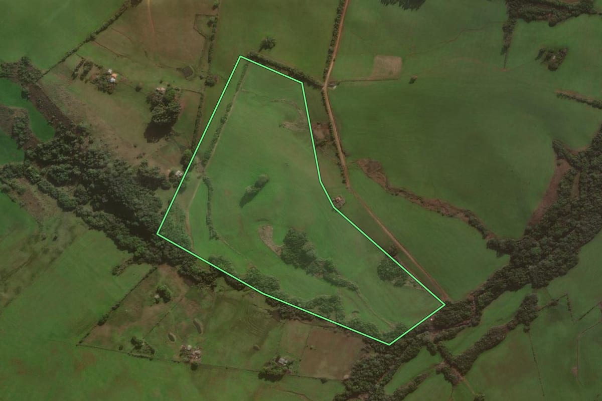 Imagem de satélite do imóvel rural em São Sepé (RS), com o contorno declarado no CAR desenhado por cima.