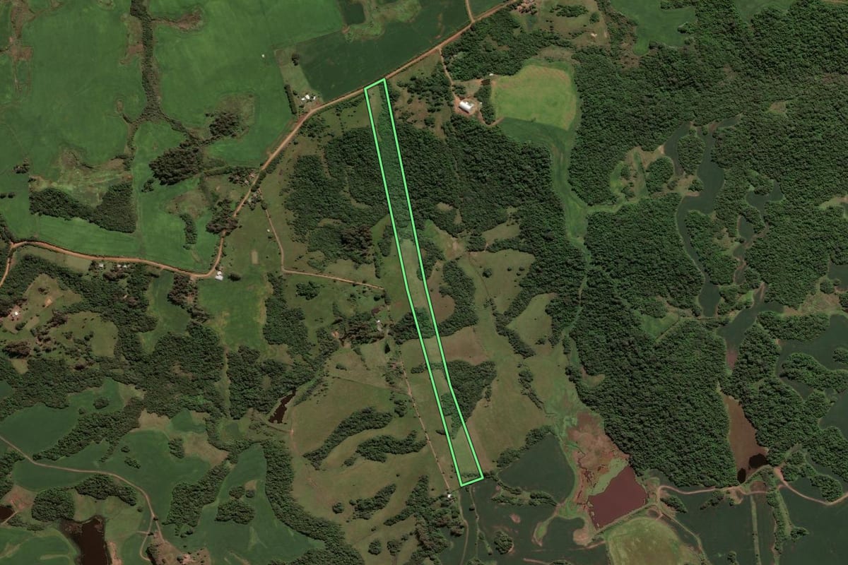Imagem de satélite do imóvel rural em São Sepé (RS), com o contorno declarado no CAR desenhado por cima.