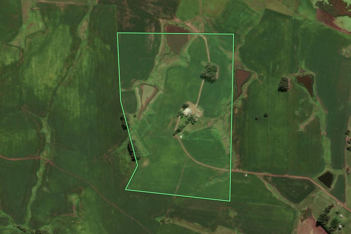 Imagem de satélite do imóvel rural em São Sepé (RS), com o contorno declarado no CAR desenhado por cima.