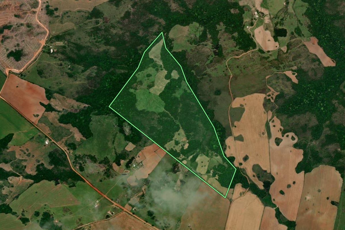 Imagem de satélite do imóvel rural em São Sepé (RS), com o contorno declarado no CAR desenhado por cima.