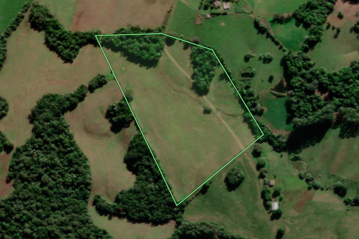 Imagem de satélite do imóvel rural em São Sepé (RS), com o contorno declarado no CAR desenhado por cima.