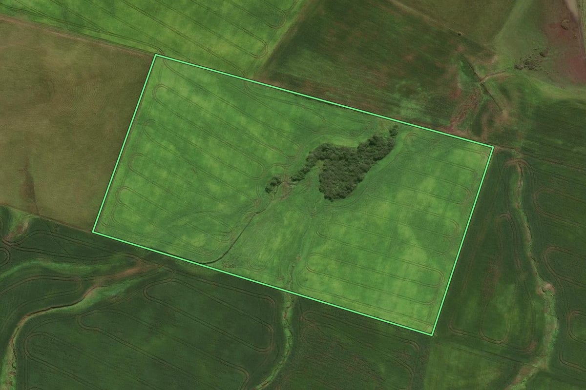Imagem de satélite do imóvel rural em São Sepé (RS), com o contorno declarado no CAR desenhado por cima.