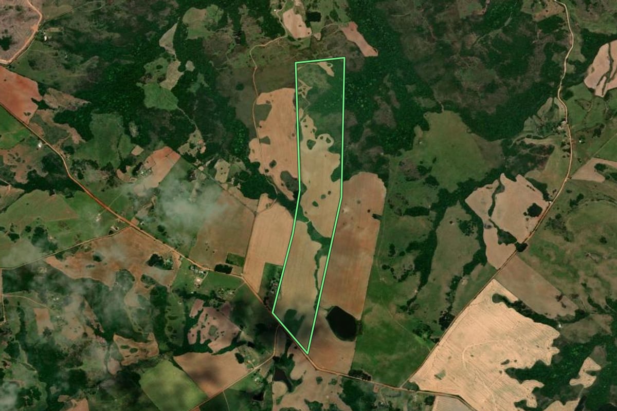 Imagem de satélite do imóvel rural em São Sepé (RS), com o contorno declarado no CAR desenhado por cima.