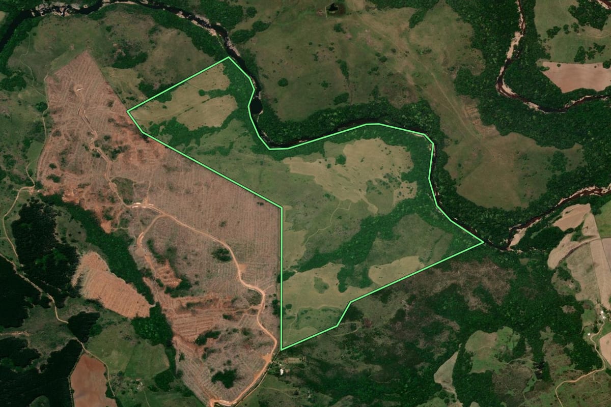 Imagem de satélite do imóvel rural em São Sepé (RS), com o contorno declarado no CAR desenhado por cima.