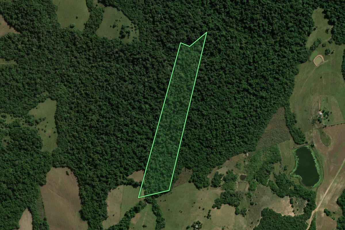 Imagem de satélite do imóvel rural em São Sepé (RS), com o contorno declarado no CAR desenhado por cima.