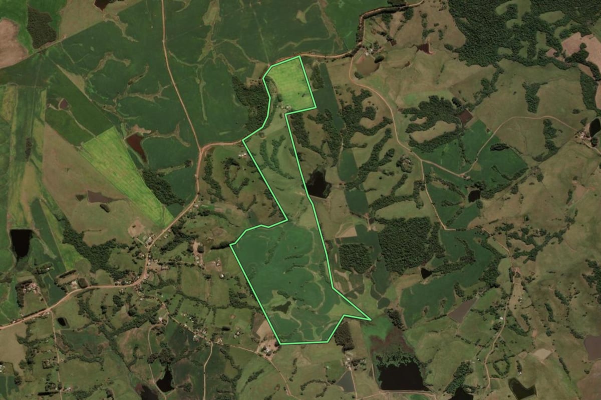 Imagem de satélite do imóvel rural em São Sepé (RS), com o contorno declarado no CAR desenhado por cima.