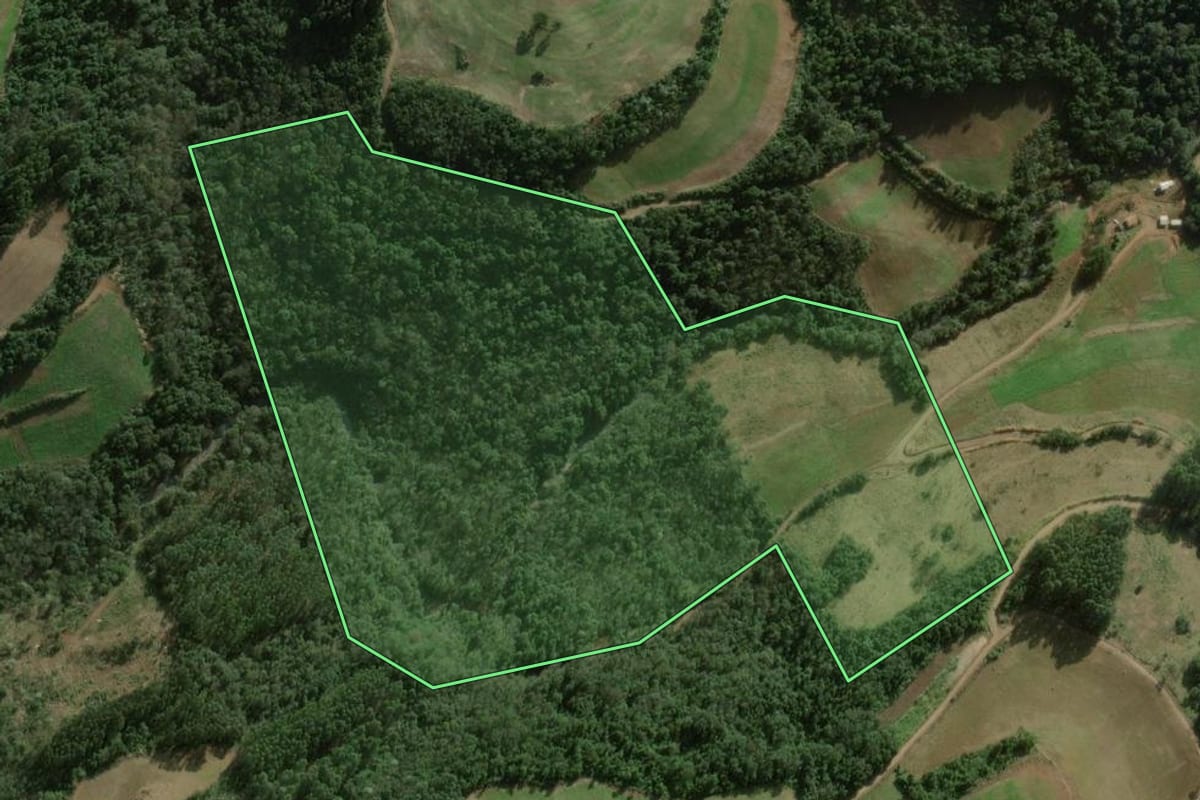 Imagem de satélite do imóvel rural em São Valentim (RS), com o contorno declarado no CAR desenhado por cima.