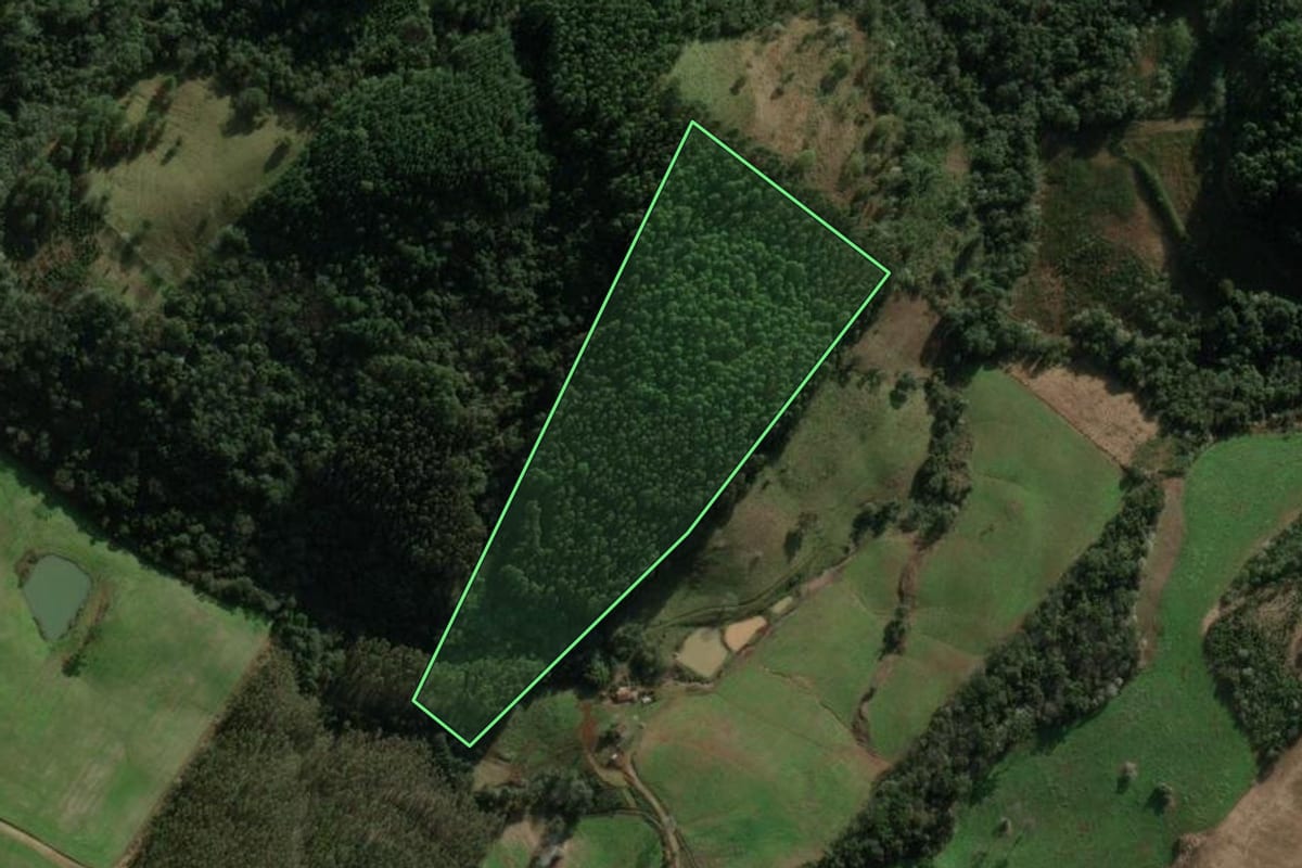 Imagem de satélite do imóvel rural em São Valentim (RS), com o contorno declarado no CAR desenhado por cima.