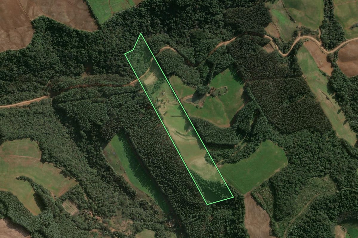 Imagem de satélite do imóvel rural em São Valentim (RS), com o contorno declarado no CAR desenhado por cima.