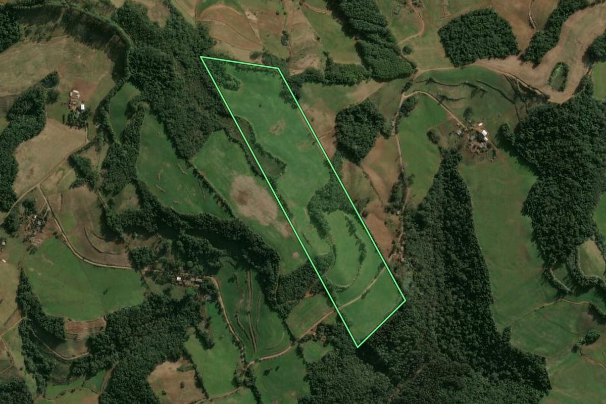 Imagem de satélite do imóvel rural em São Valentim (RS), com o contorno declarado no CAR desenhado por cima.