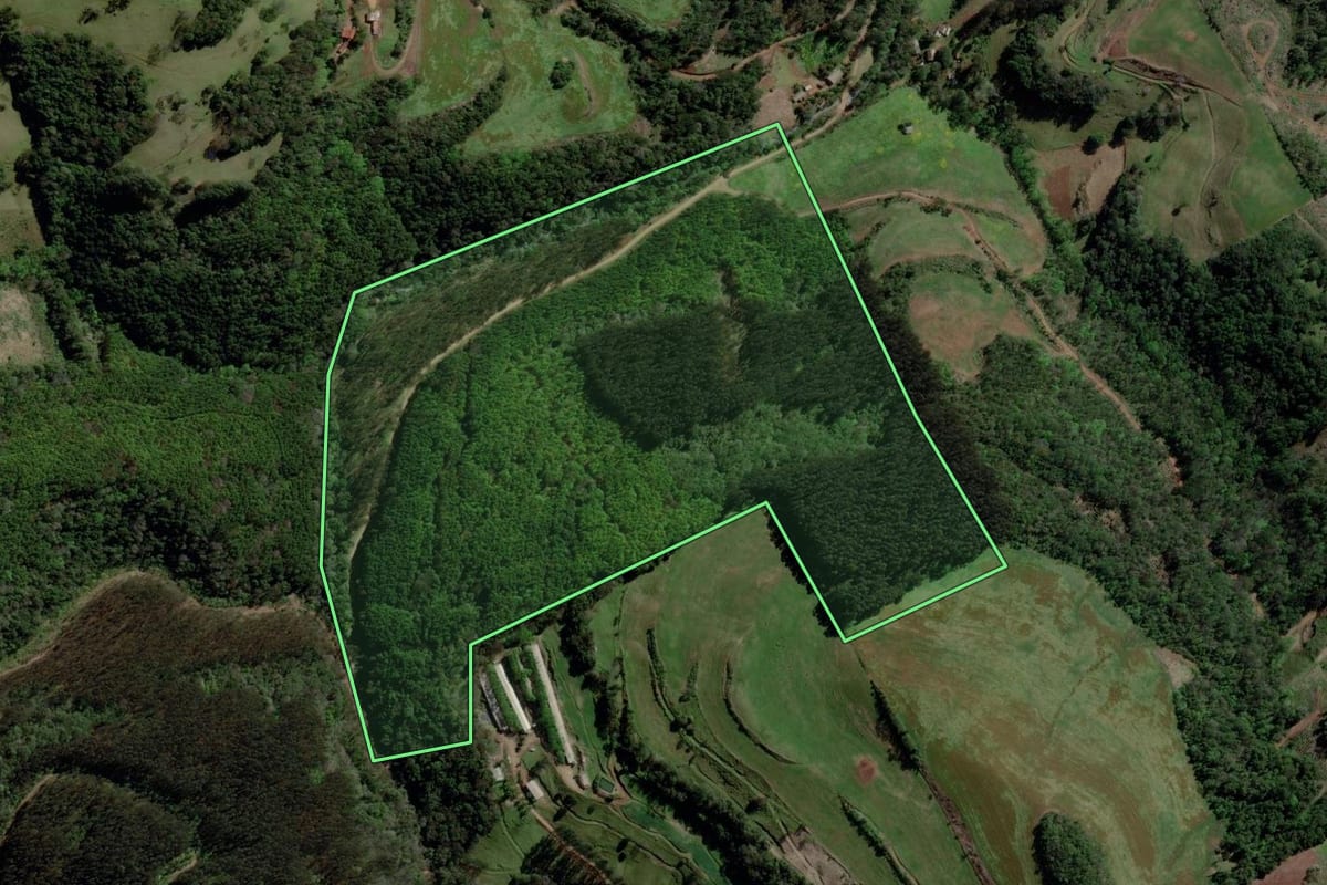 Imagem de satélite do imóvel rural em São Valentim (RS), com o contorno declarado no CAR desenhado por cima.