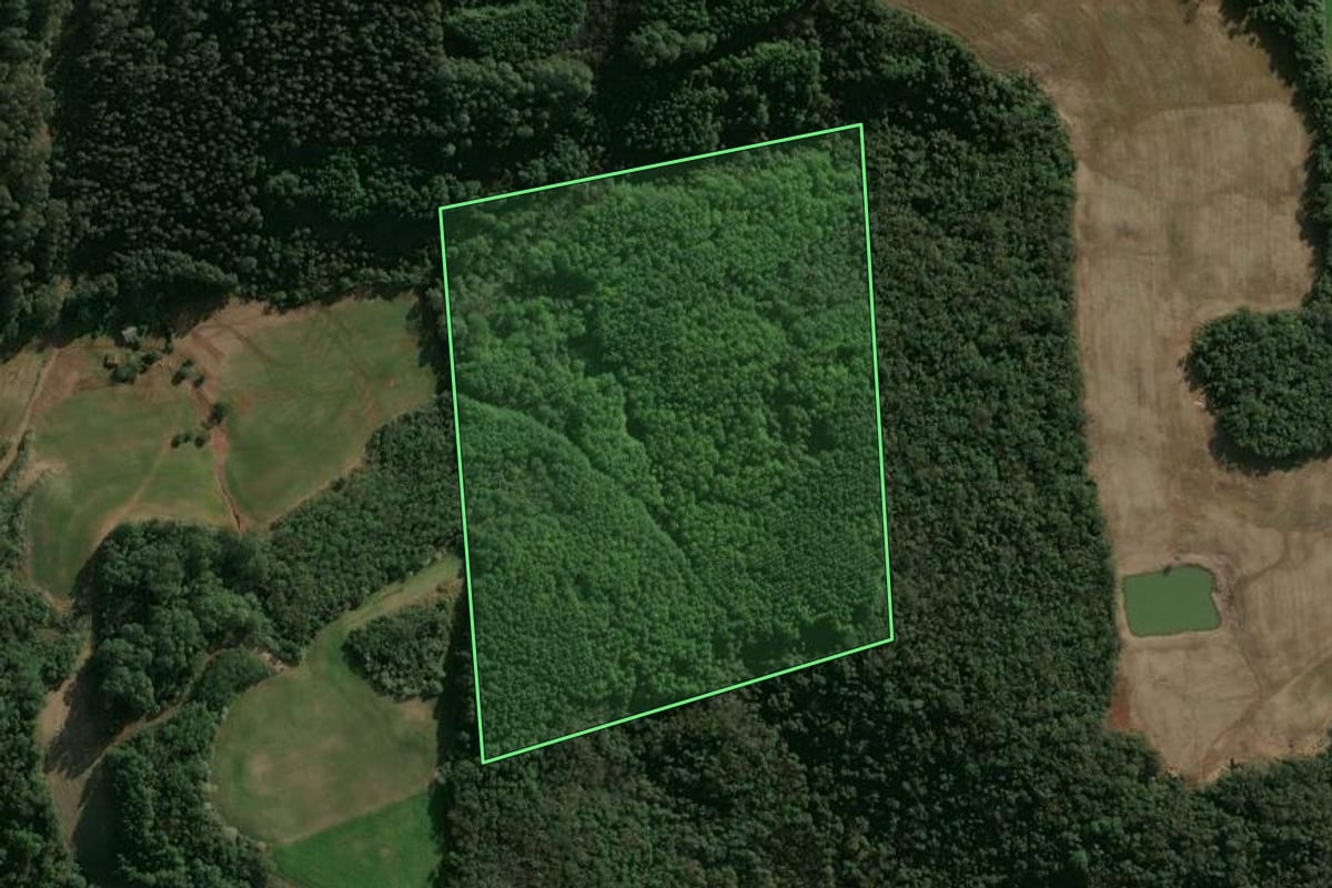 Imagem de satélite do imóvel rural em São Valentim (RS), com o contorno declarado no CAR desenhado por cima.