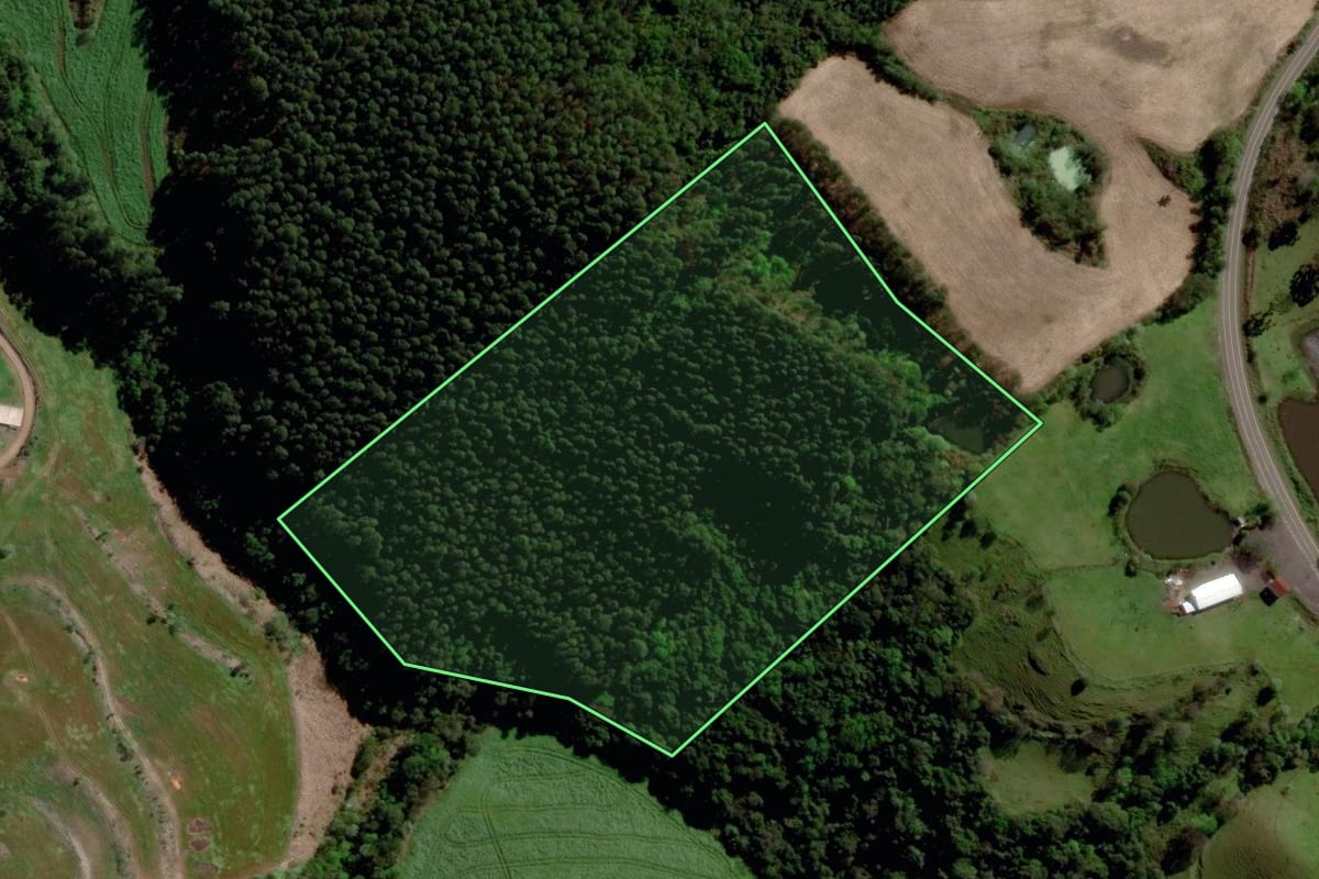 Imagem de satélite do imóvel rural em São Valentim (RS), com o contorno declarado no CAR desenhado por cima.