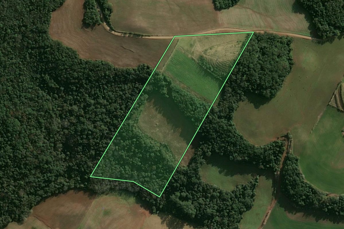Imagem de satélite do imóvel rural em São Valentim (RS), com o contorno declarado no CAR desenhado por cima.